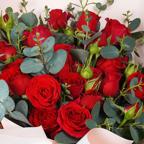 lovesong-29681097048249_1_493x lovesong-29681097048249_1_493x